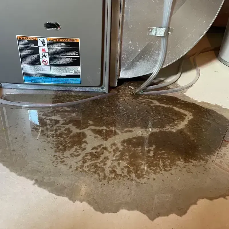 Appliance Leak Cleanup in Hugo, CO